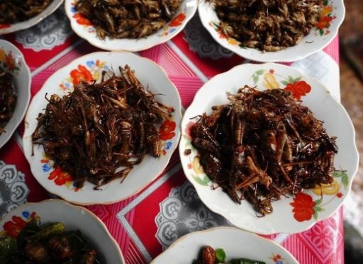 Eating insects is safe with a few precautions