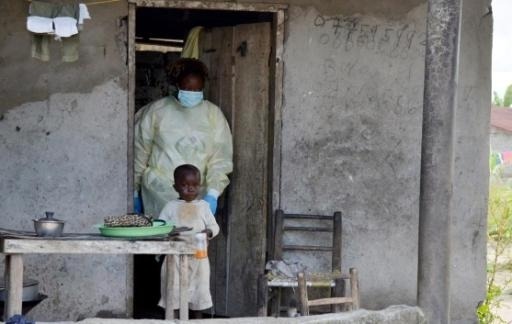 Ebola - The "Brussels Appeal" of the African Ambassadors