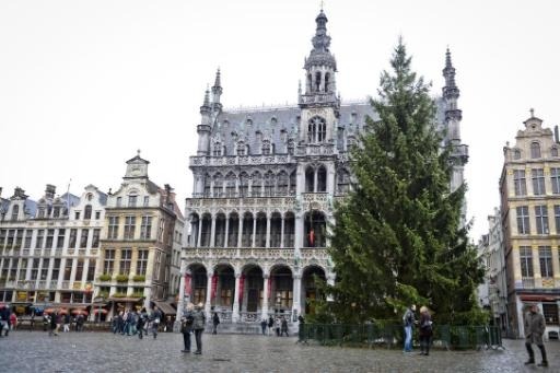 Brussels' Grand Place bedecked with Latvian Christmas tree