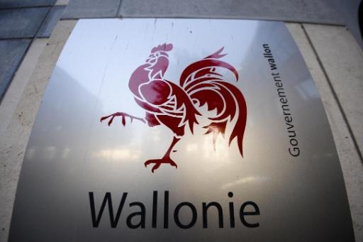 One job in five in Wallonia is public