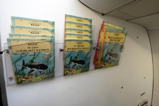 The Tintin albums do not belong to Moulinsart