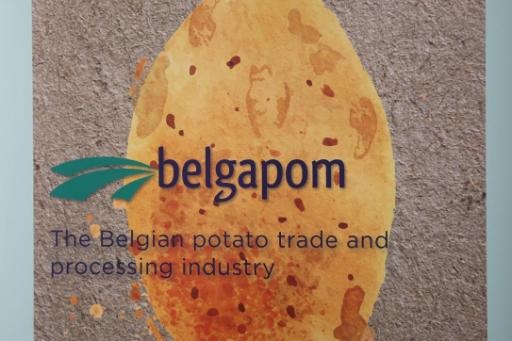 Potato producers target exports
