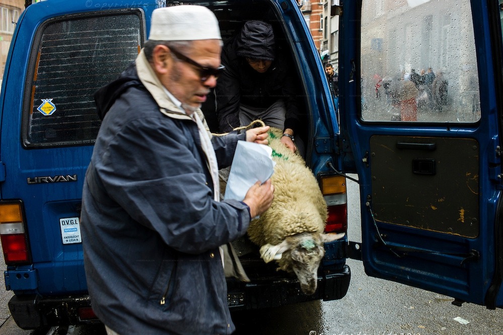 Sacrifice festival – Around 600 Muslims demonstrate in favour of ritual slaughter