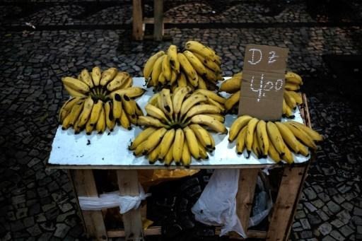 178 Kg of cocaine found amongst bananas arriving via transit through Belgium