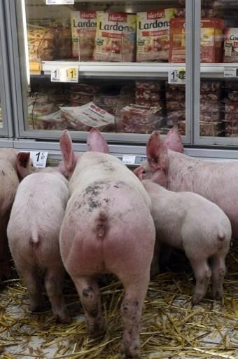 The Federation of Commerce and Service regrets that no solution has been found on pork prices