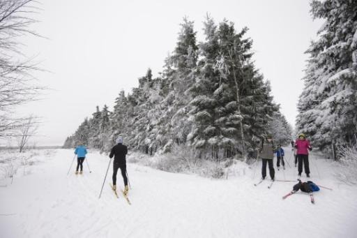 Signal de Botrange and Signal de la Baraque Michel cross-country skiing centres now open