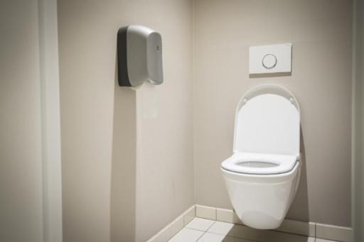 Toilets more accessible in Wallonia but cleaner in Flanders