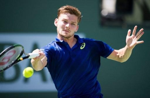 David Goffin still ranked 13th in world before starting season on clay