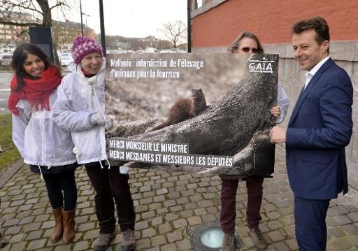 Fur animal breeders’ lobby invalidated by the Constitutional Court