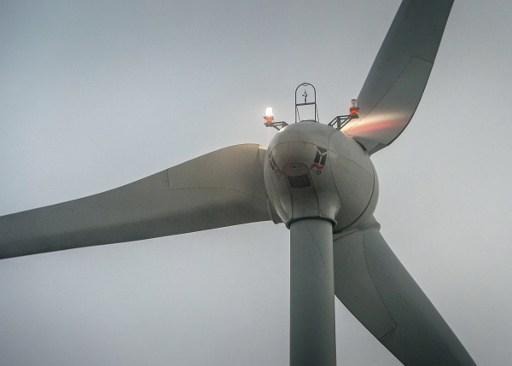 Franco-Belgian collaboration on the Dunkirk wind farm on the table