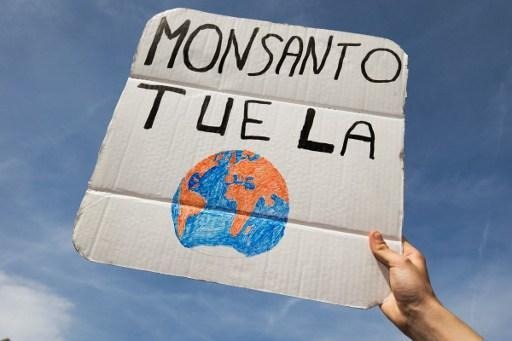 EU: no member state licensing for the three GMO cultures