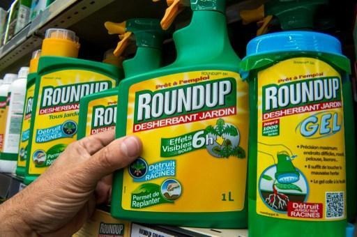 Use of glyphosate prohibited for individuals in Wallonia from June 1st