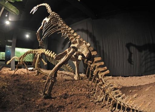 Asteroid dust caused dinosaurs' extinction, study suggests