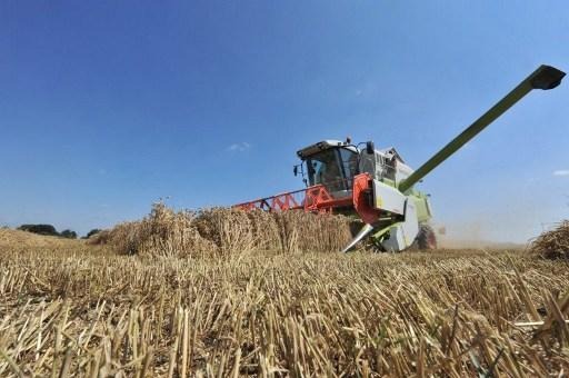 2016: awful year for Belgian agricultural production