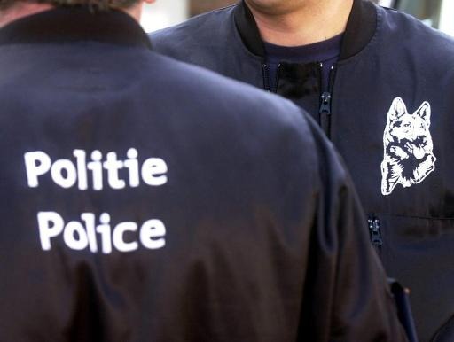 Police investigate 251 criminal organizations active in Belgium in 2015