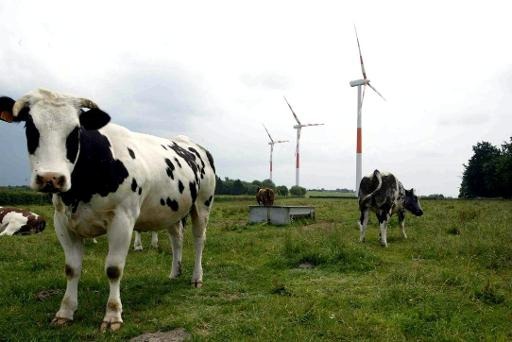 Belgium has nearly 2,000 organic farm units - three-quarters in Wallonia