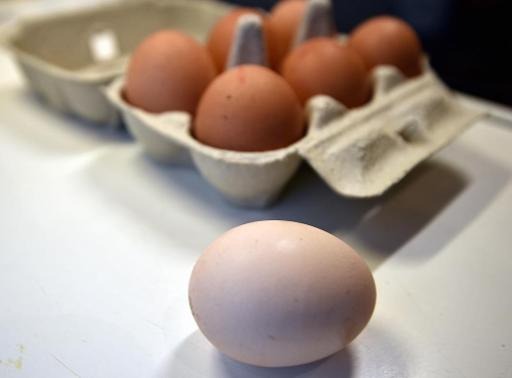 Afsca issues corrected list of recalled eggs