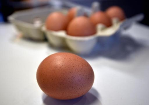 Contaminated eggs: Two held for questioning