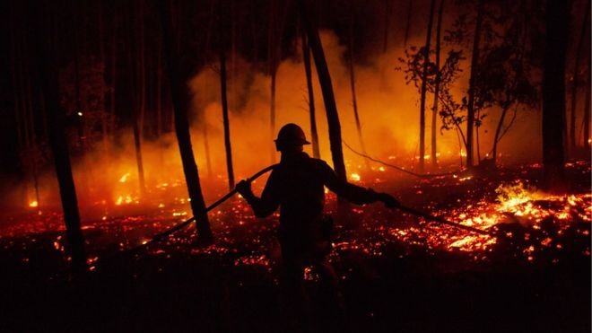 Juncker confirms that EU response to fight wildfires in Portugal arrived too late