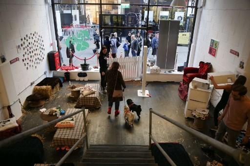 The liberal reformist party wants legal framework for “pop-up” stores in Brussels