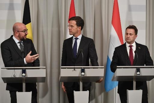 The Dutch Prime Minister “does not want to end up like Belgium”
