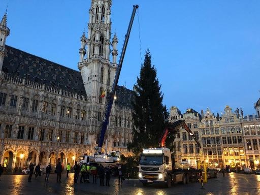 Christmas tree set up in Brussels Grand Place