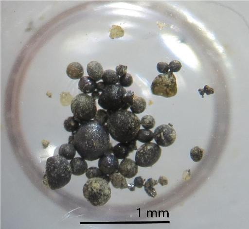 Belgian scientists bring thousands of micrometeorites back from the Antarctic