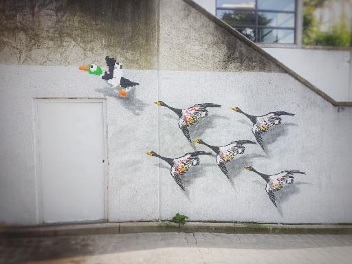 The artist Oakoak adds a dozen pieces to Brussels Street Art