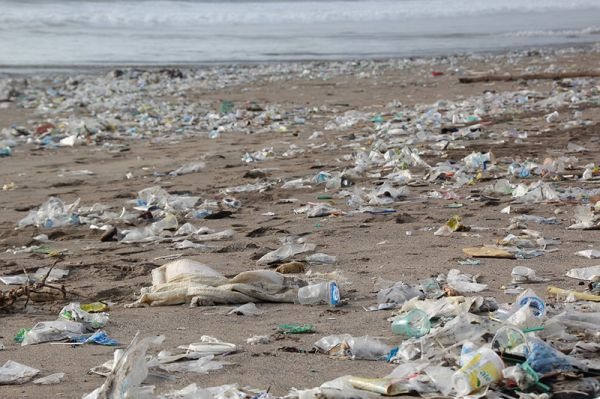EU sets rules for reducing single-use plastics