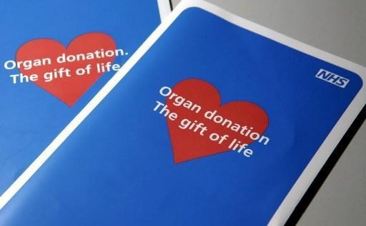 Record number of organ donations in Belgium