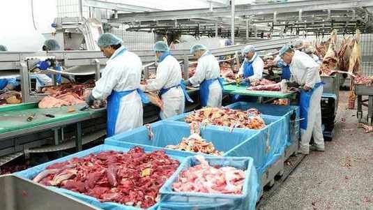 Delhaize wants 6.5 million euros compensation from slaughterhouses