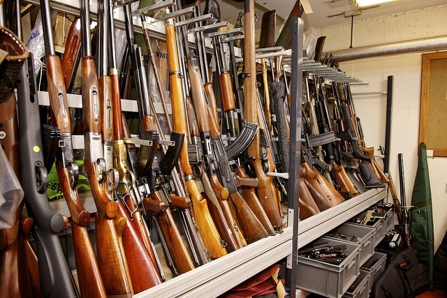 Council of State suspends arms export licences to Saudi Arabia