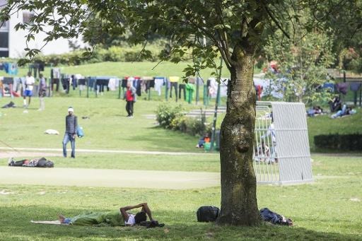 Brussels City Council does not want non-asylum migrant cases in Maximilian Park