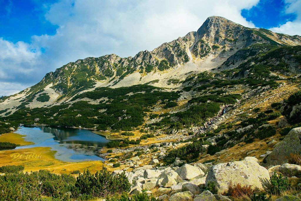 European Parliament and Commission divided on national parks in Bulgaria