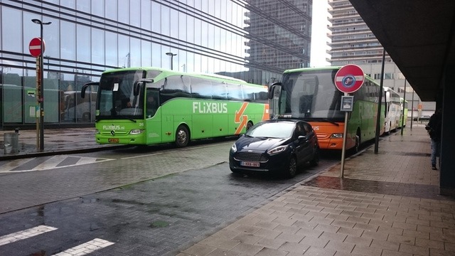 Flixbus may run between Flemish cities, says government
