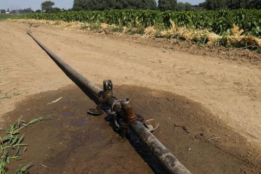 Drought: Flanders issues orange alert, bans watering