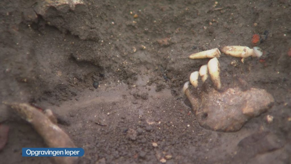 1200 medieval skeletons uncovered in Ypres