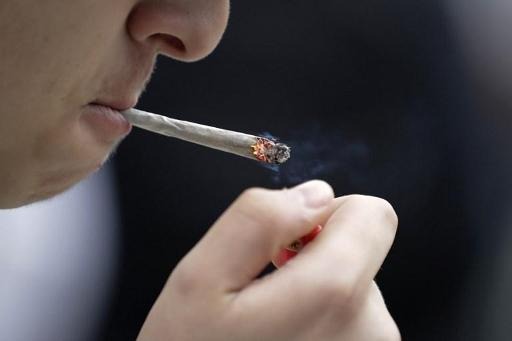 Dentists warn against cannabis harmful effects