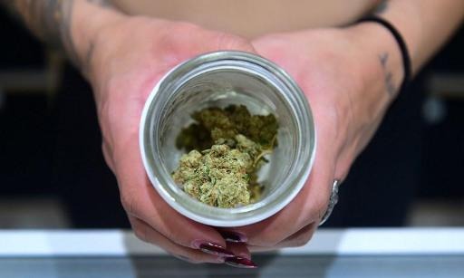 Cannabis: Investors meet in congress at Amsterdam