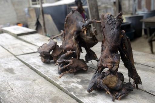 Bushmeat: Health Department looks into the effectiveness of checks
