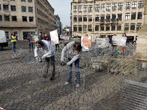 Gaia cuts up cages to denounce animals’ suffering