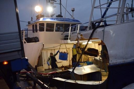 Total ban on electric pulse fishing on hold until 2021