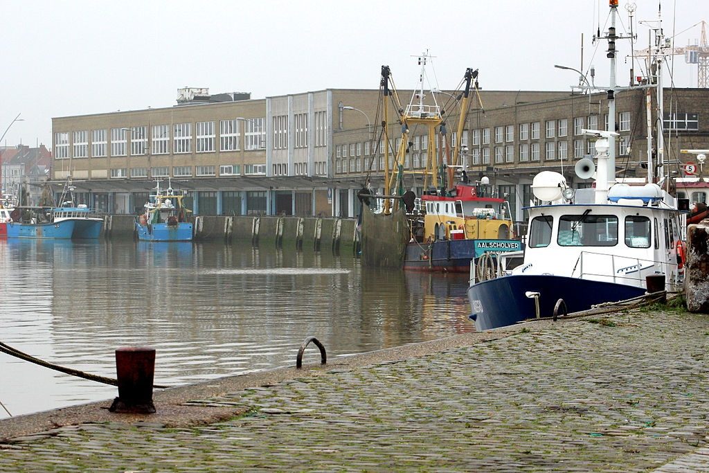 No-deal Brexit could cost 2,500 jobs in Belgian fisheries