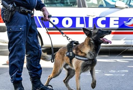 The Swiss police dog's 5K suspect chase