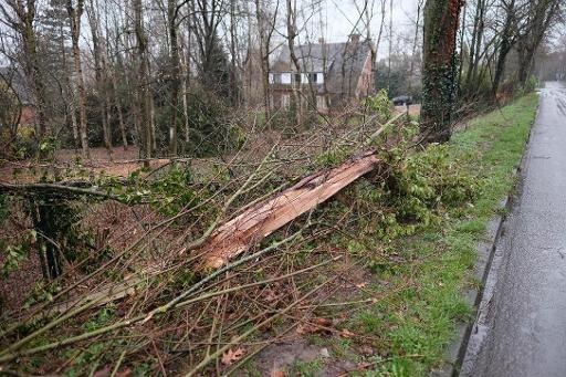 AG Insurance expects to pay over 45 million euros for storm damage