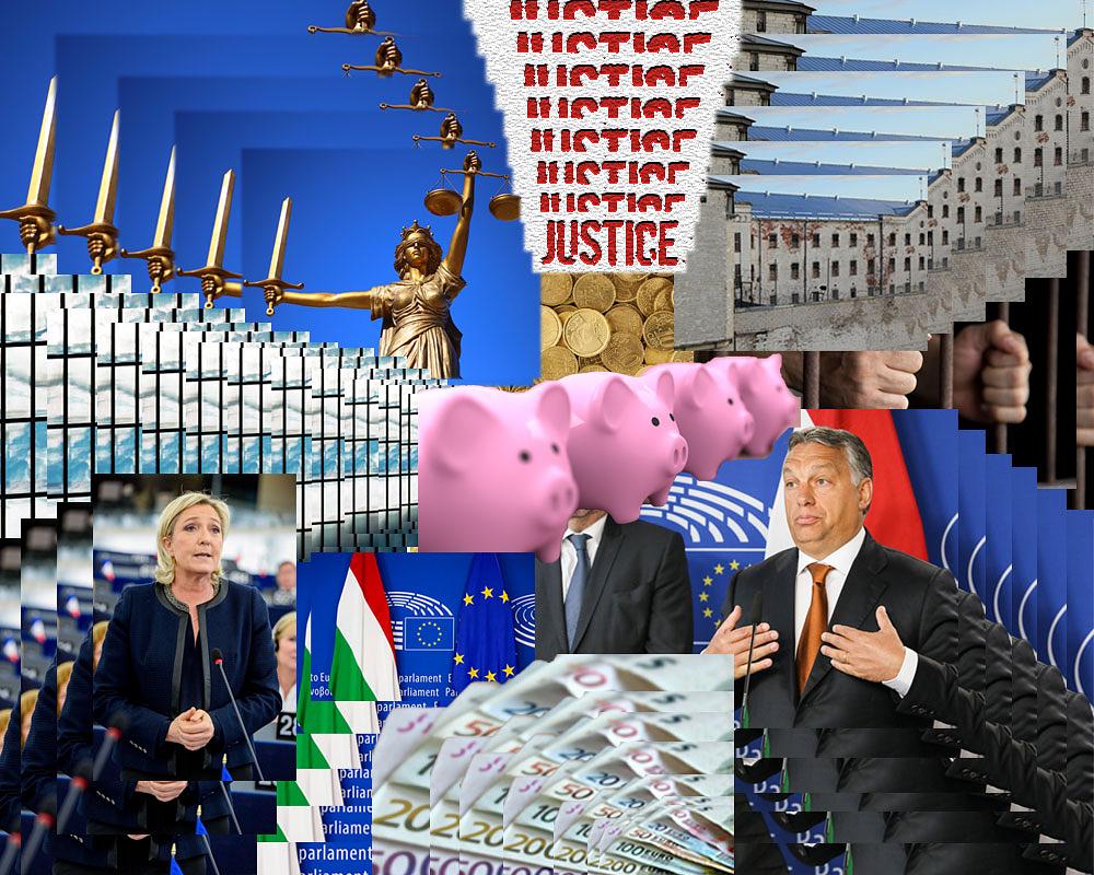 Transparency Tales