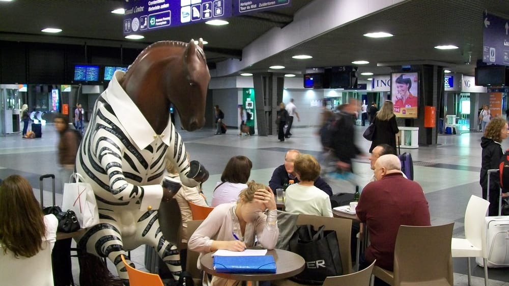 Sam the 'zebra' allowed to stay in Brussels Midi