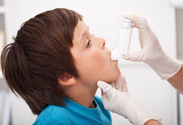 Childhood asthma peaks in Belgium because of traffic