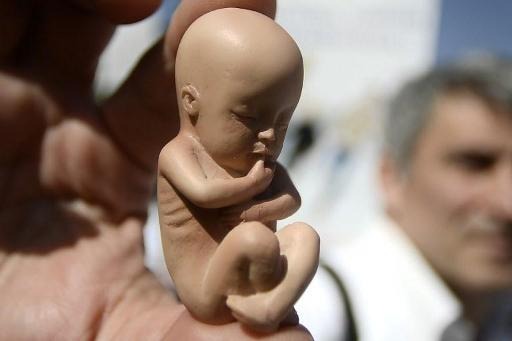 Hundreds gathered in Brussels for the right to live “from conception to natural death”