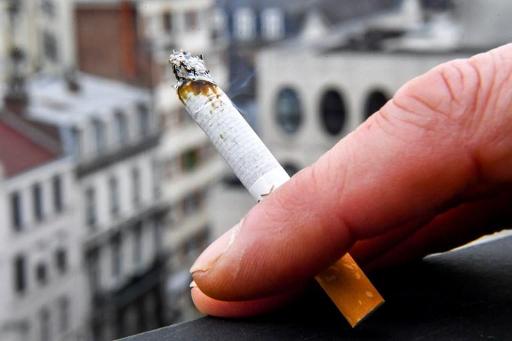 Paris bans smoking in 52 parks and gardens